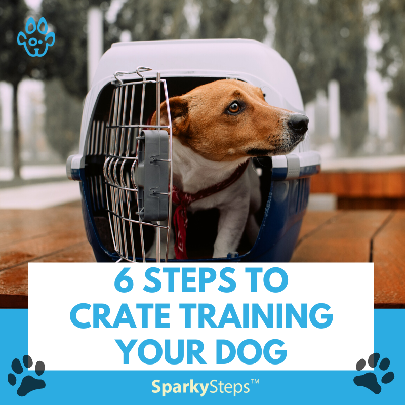6 Steps to Crate Training Your Dog