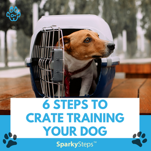 6 Steps to Crate Training Your Dog