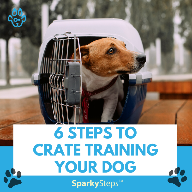 Crate store training steps