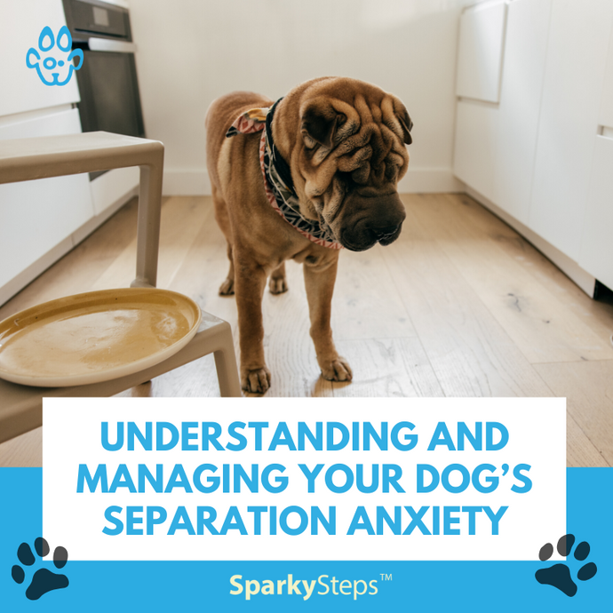 Understanding and Managing Your Dog’s Separation Anxiety