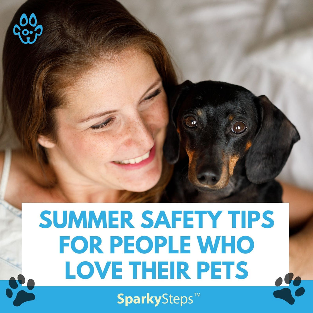 Summer Safety Tips For People Who Love Their Pets
