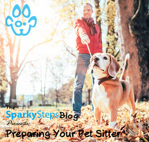 The Ultimate Guide to Preparing your Pet Sitter