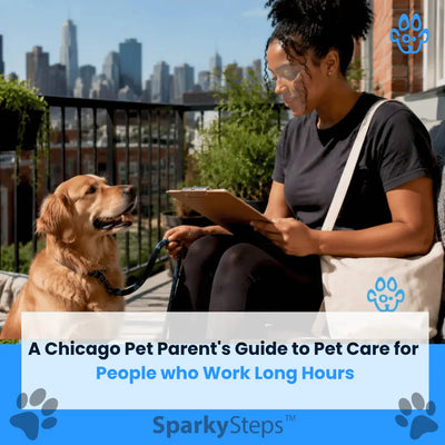 When Work Runs Late: A Pet Parent's Guide to Pet Care for Long Work Hours