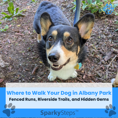 Where to Walk Your Dog in Albany Park: Fenced Runs, Riverside Trails, and Hidden Gems