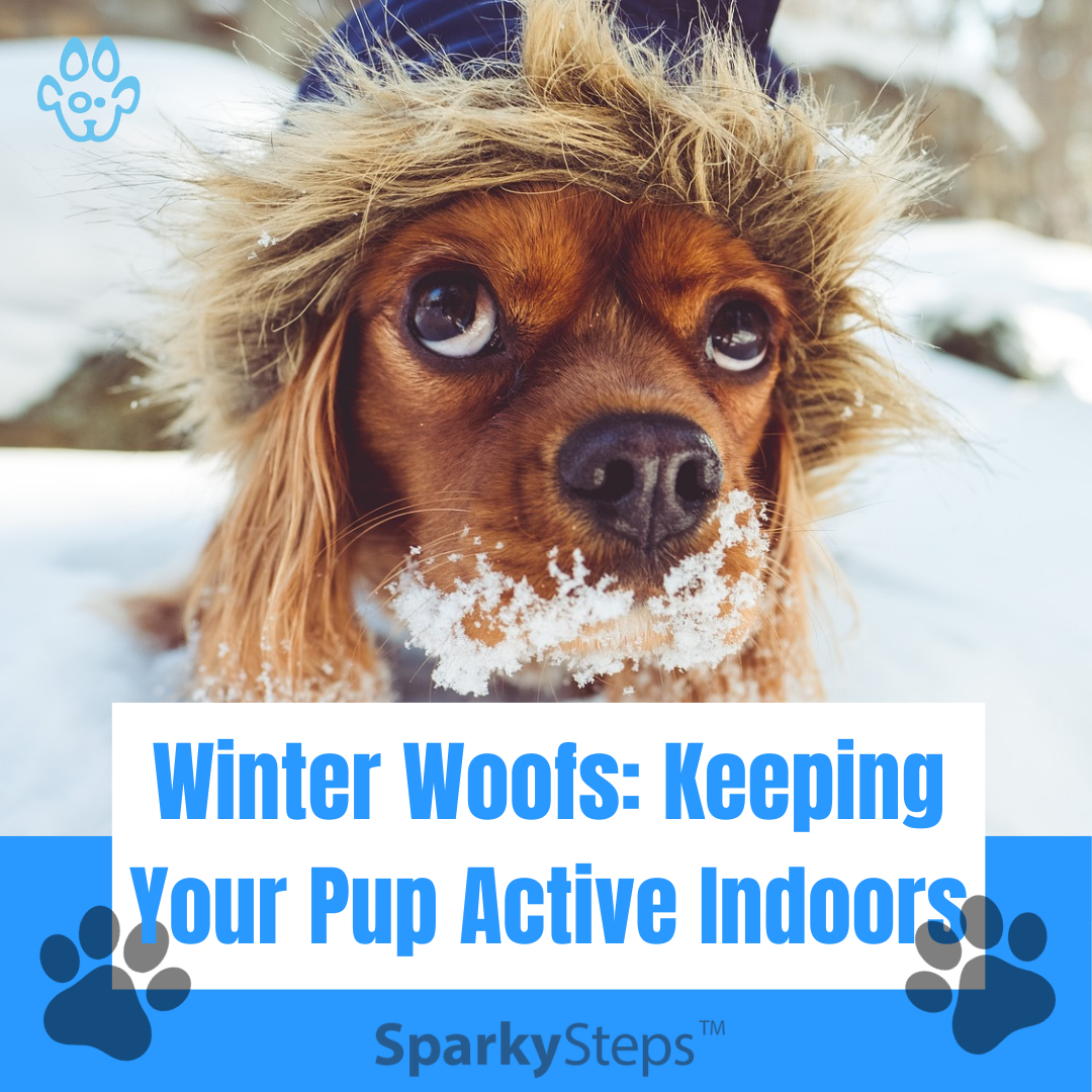 Winter Woofs - Keeping Your Pup Active Indoors Sparky Steps