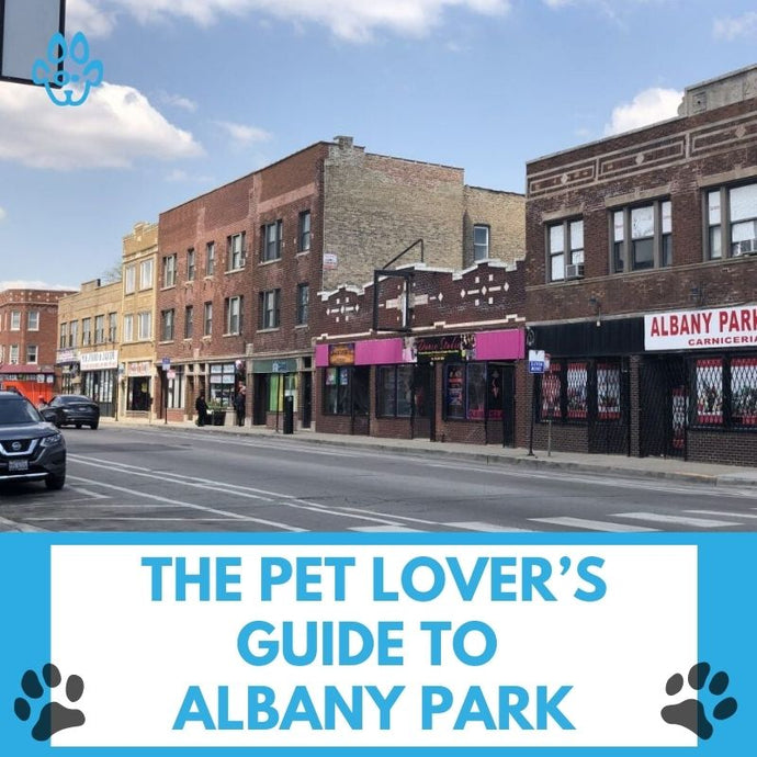 The Pet Lover’s Guide to Albany Park