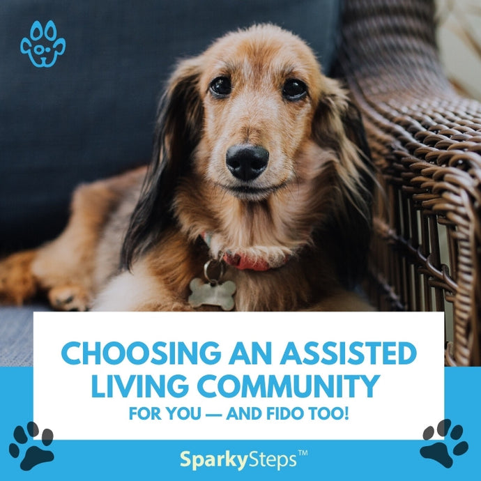 Choosing an Assisted Living Community for You — and Fido Too!