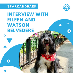 Interview With Eileen and Watson Belvedere