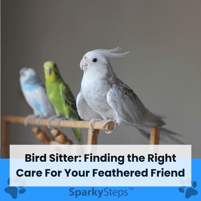 Bird Sitter: Finding the Right Care for Your Feathered Friend