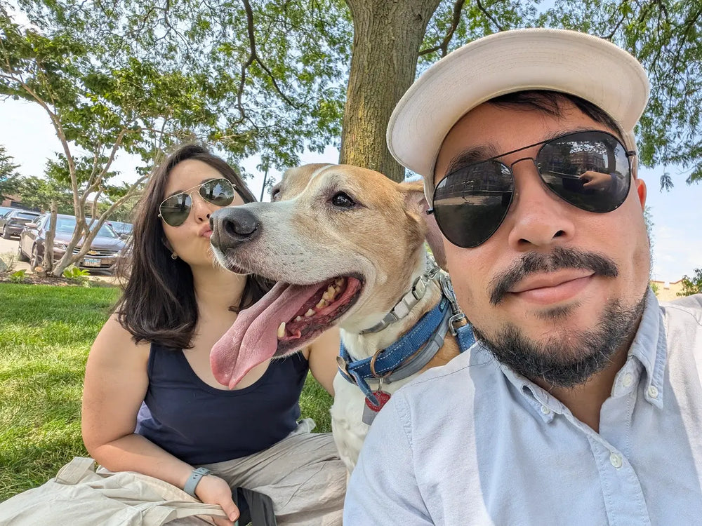 A Sparky Steps walker out with two happy dogs in Chicago