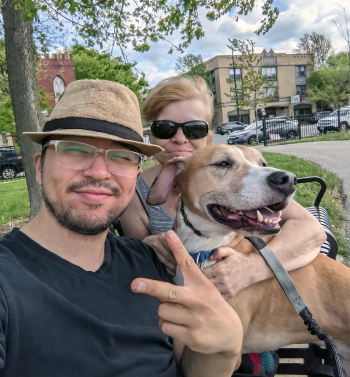 A Sparky Steps walker out with two happy dogs in Chicago