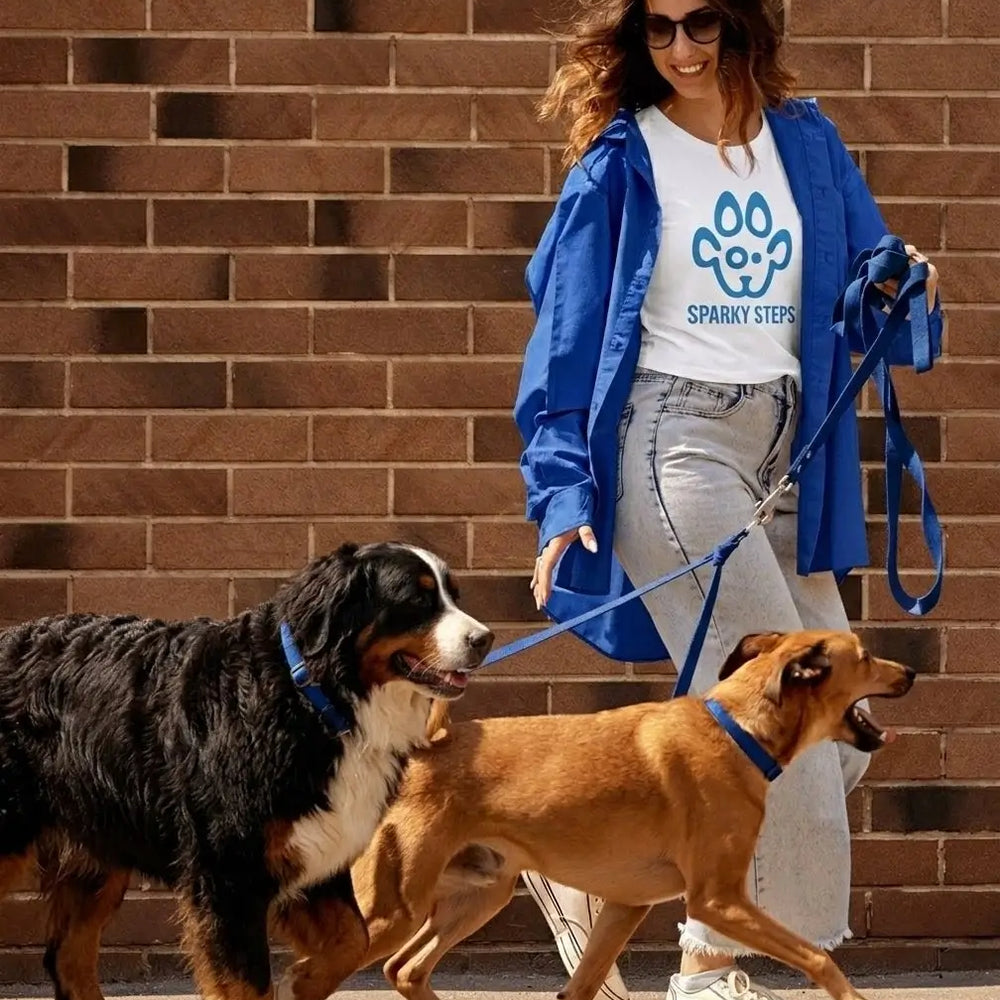 Professional pet care team member walking dogs in Chicago